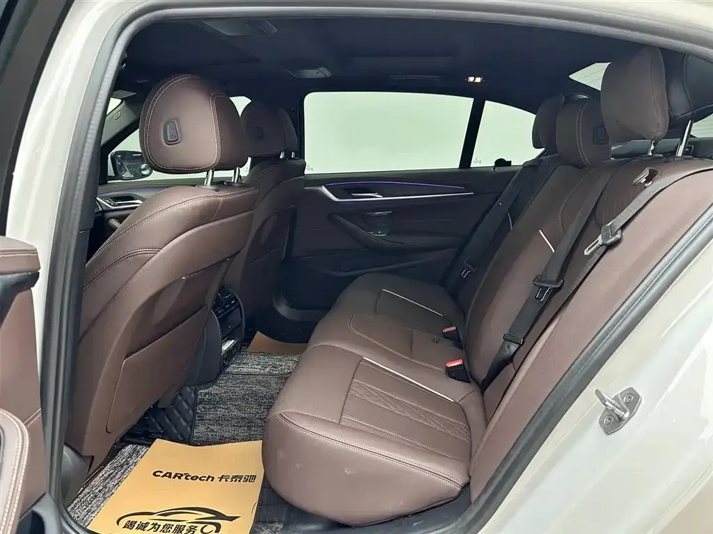 BMW 5 Series 2021 из CN, фото 7