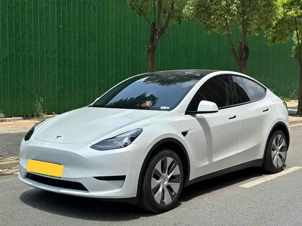 Tesla Model Y 2023 из CN, фото 1