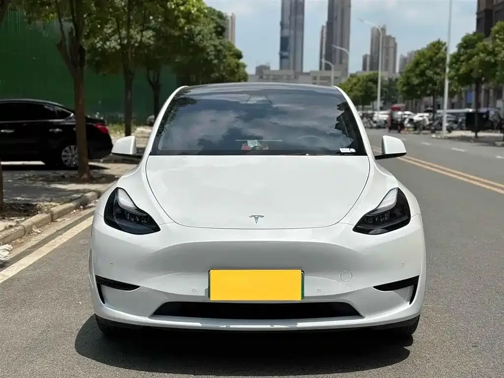 Tesla Model Y 2023 из CN, фото 3