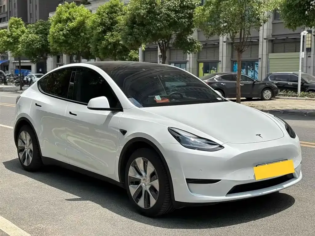 Tesla Model Y 2023 из CN, фото 8