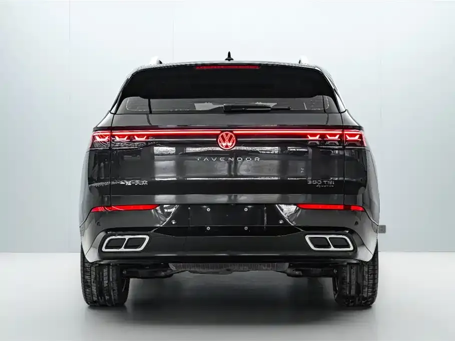 Volkswagen Tavendor 2024 из CN, фото 4