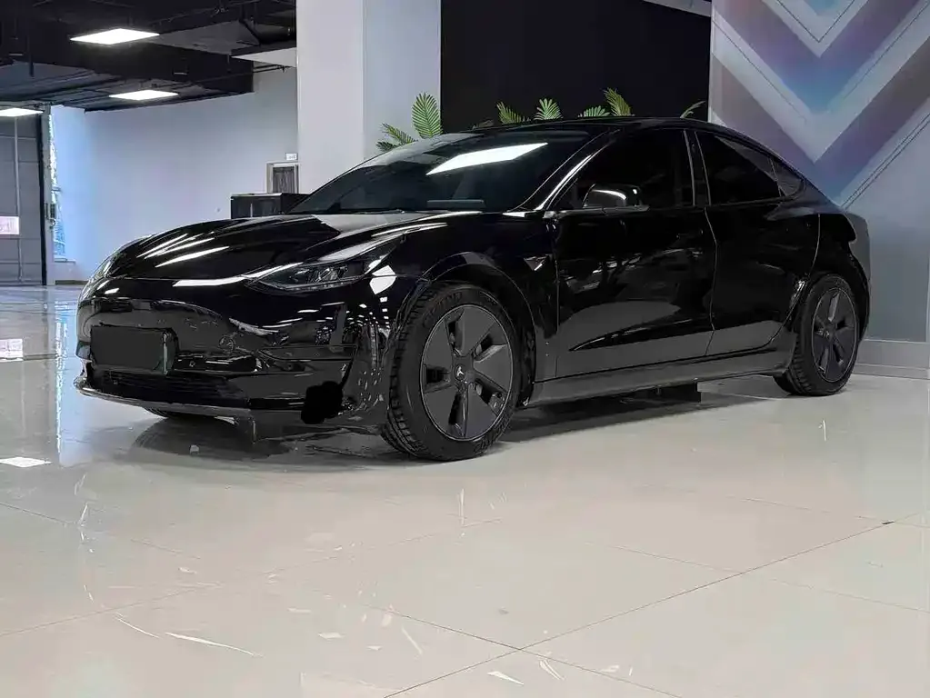 Tesla Model 3 2021 из CN, фото 1