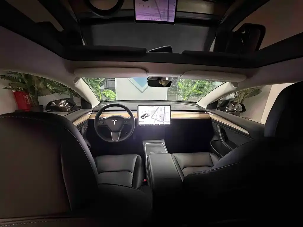 Tesla Model 3 2021 из CN, фото 2
