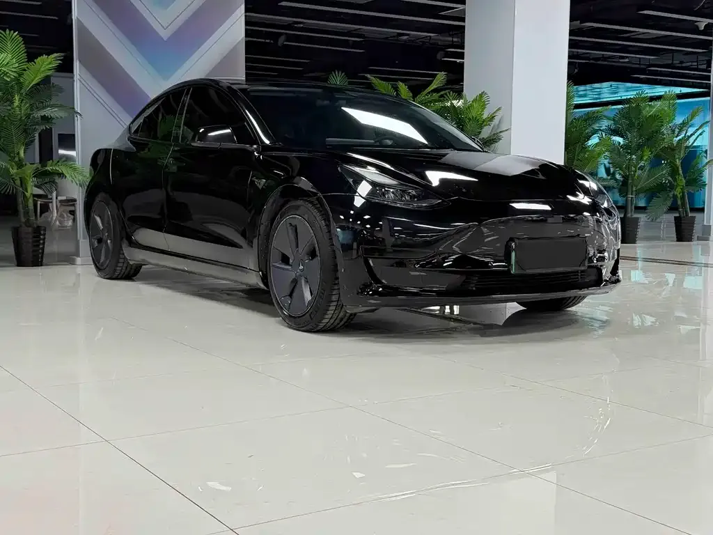 Tesla Model 3 2021 из CN, фото 8