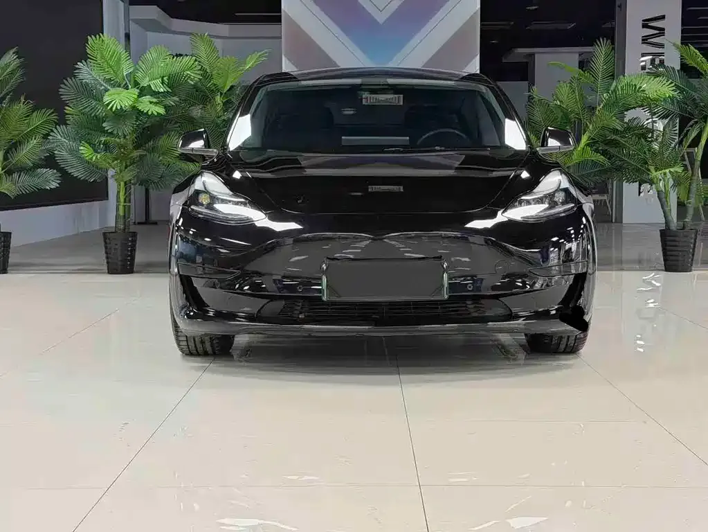 Tesla Model 3 2021 из CN, фото 3