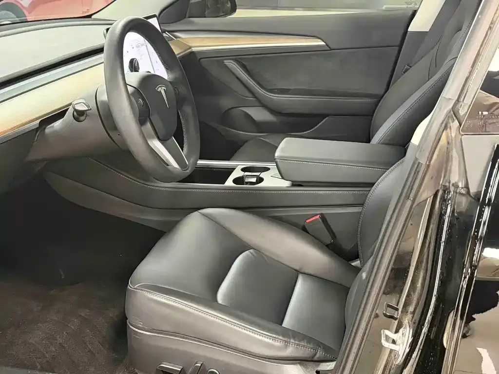 Tesla Model 3 2021 из CN, фото 6