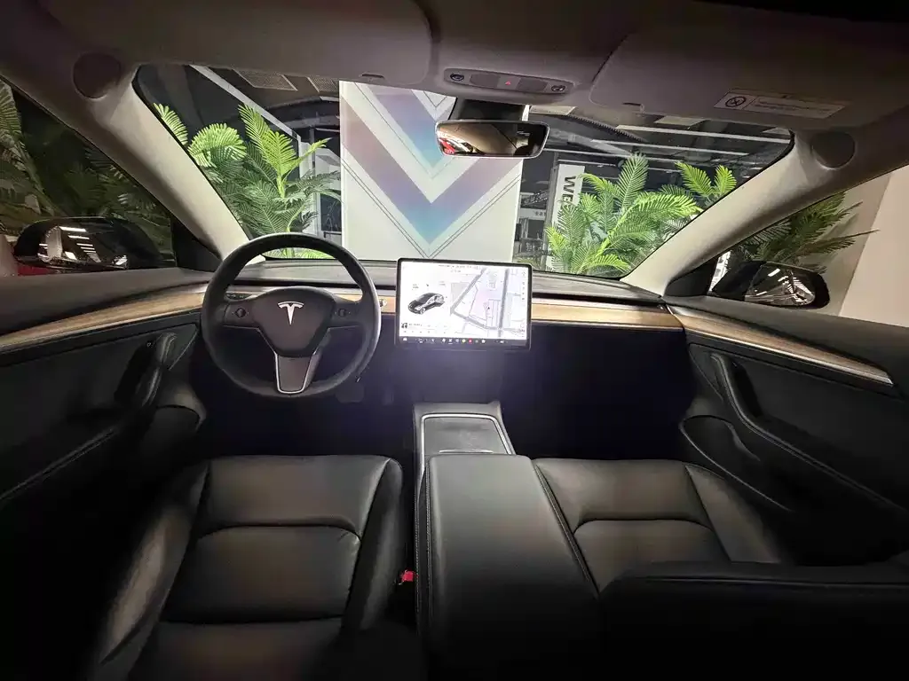 Tesla Model 3 2021 из CN, фото 7