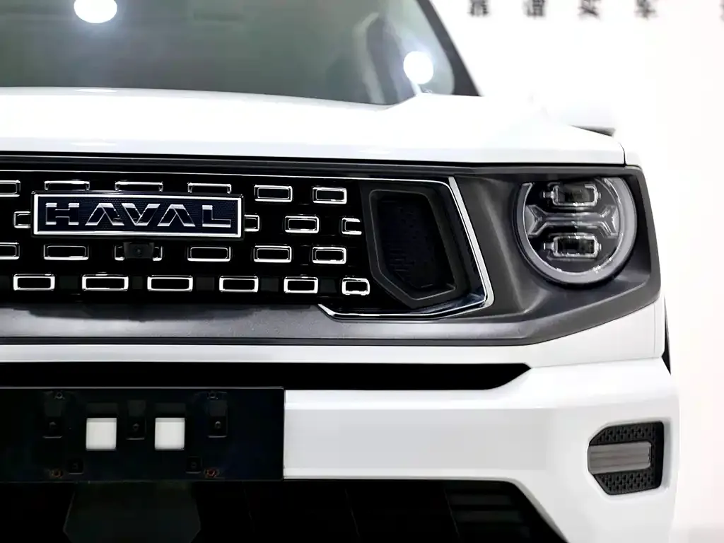 Haval H7 (Big Dog Plus) 2023 из CN, фото 6