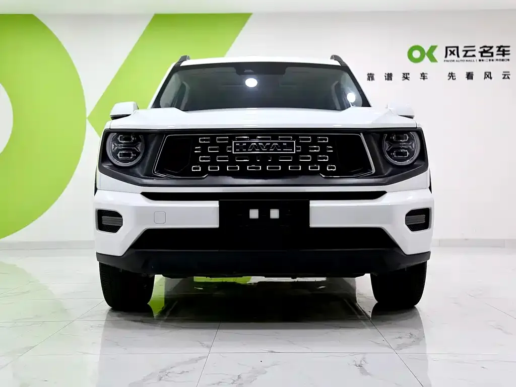 Haval H7 (Big Dog Plus) 2023 из CN, фото 2