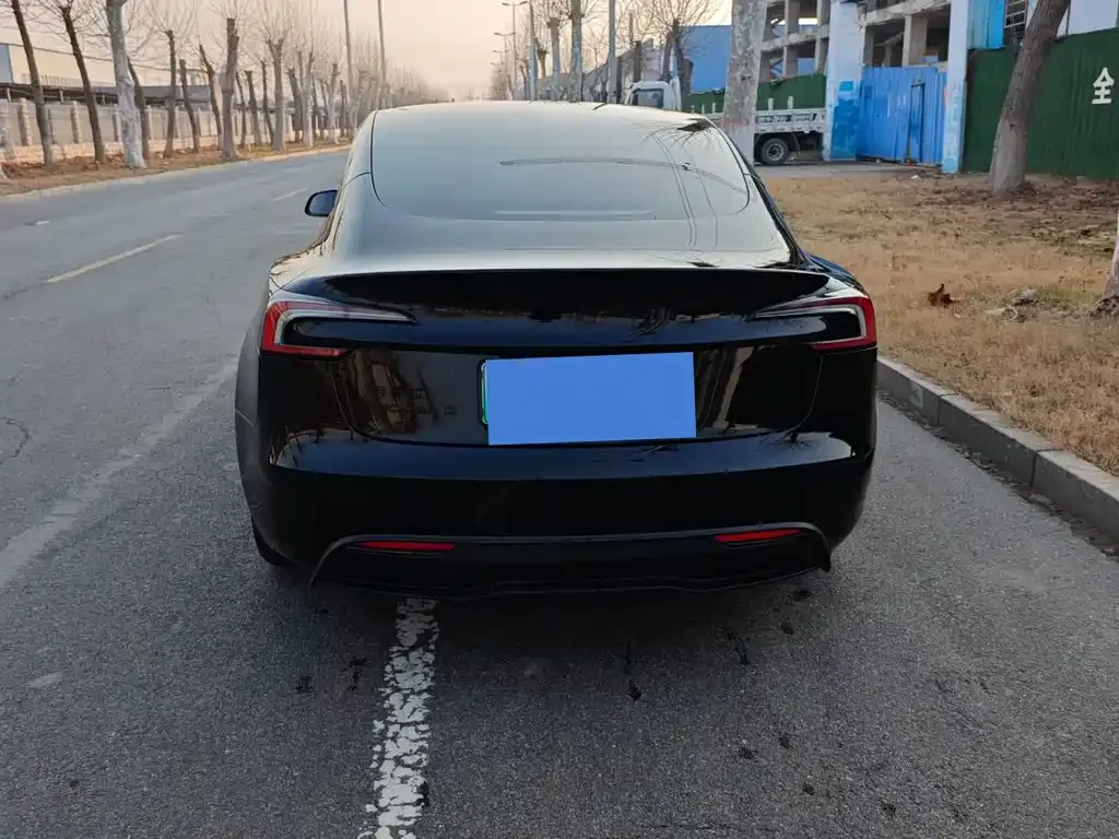 Tesla Model 3 2025 из CN, фото 3