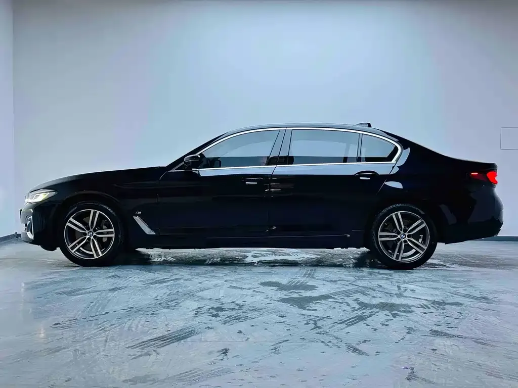 BMW 5 Series 2023 из CN, фото 7