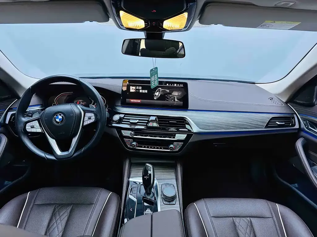 BMW 5 Series 2023 из CN, фото 8
