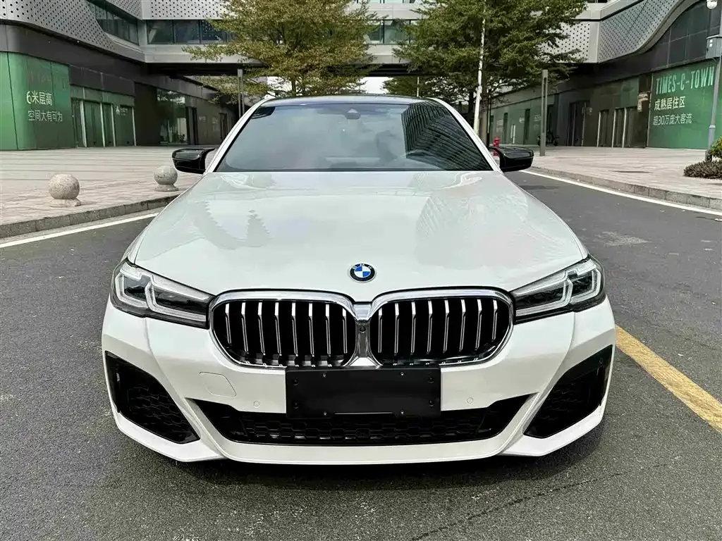 BMW 5 Series 2023 из CN, фото 2