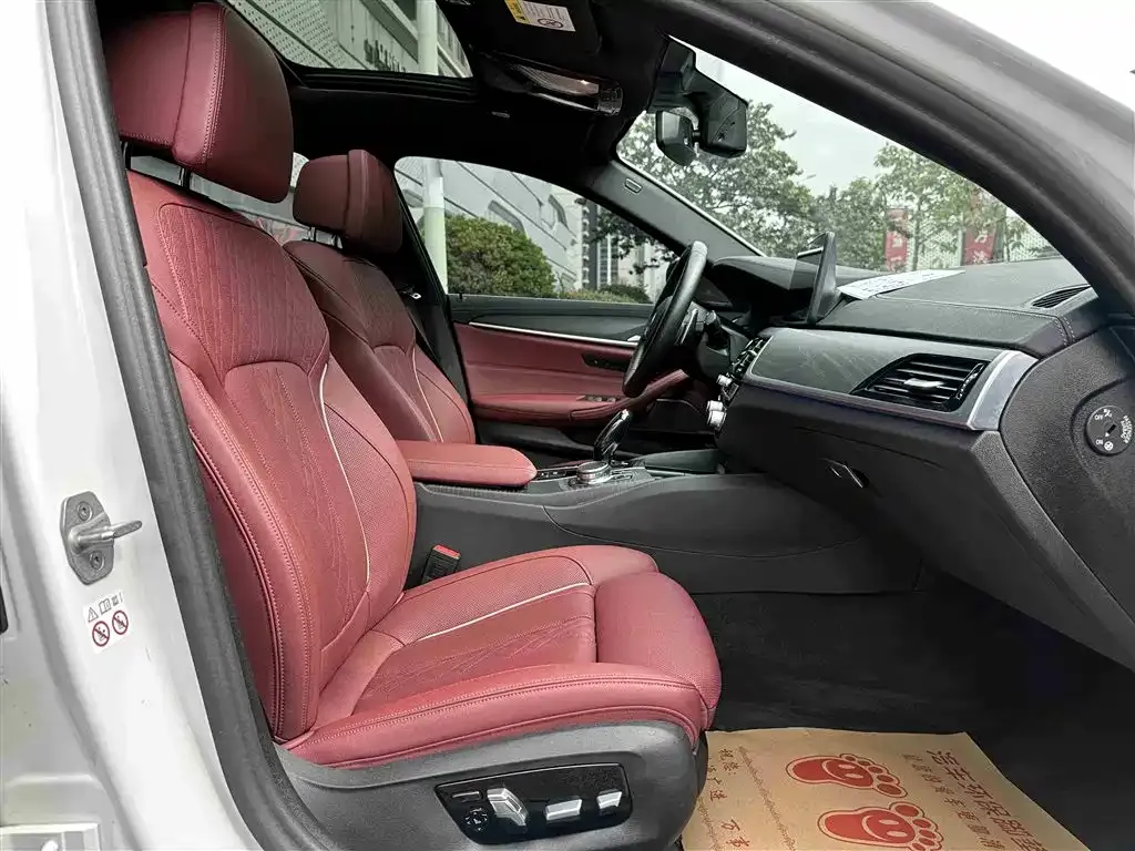 BMW 5 Series 2023 из CN, фото 7