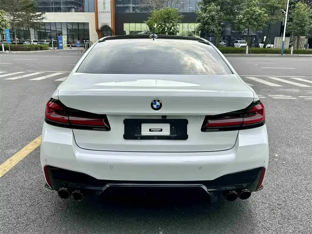 BMW 5 Series 2023 из CN, фото 9