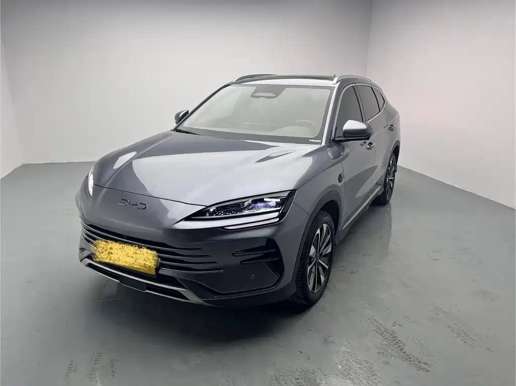 BYD PLUS New Energy 2025 из CN, фото 1