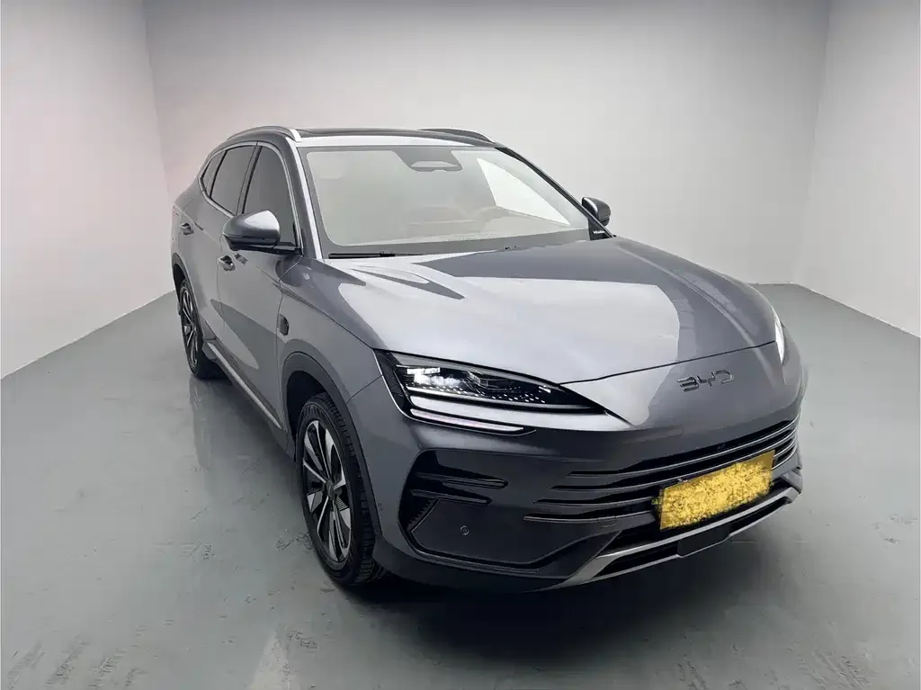 BYD PLUS New Energy 2025 из CN, фото 3