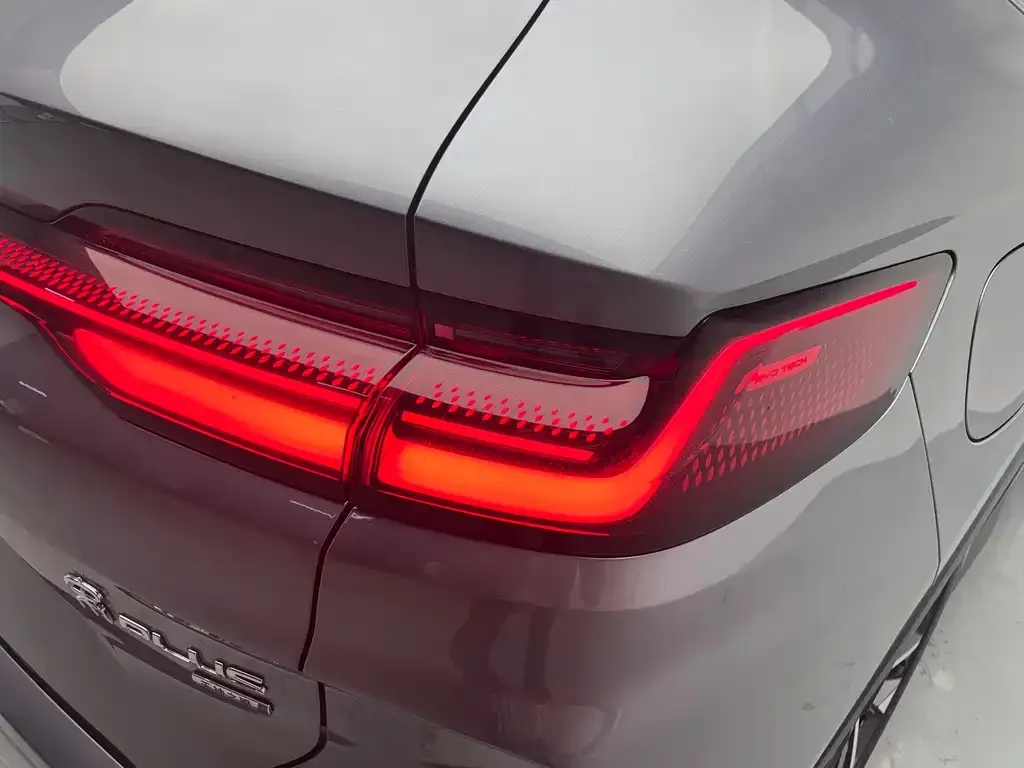 BYD PLUS New Energy 2025 из CN, фото 4