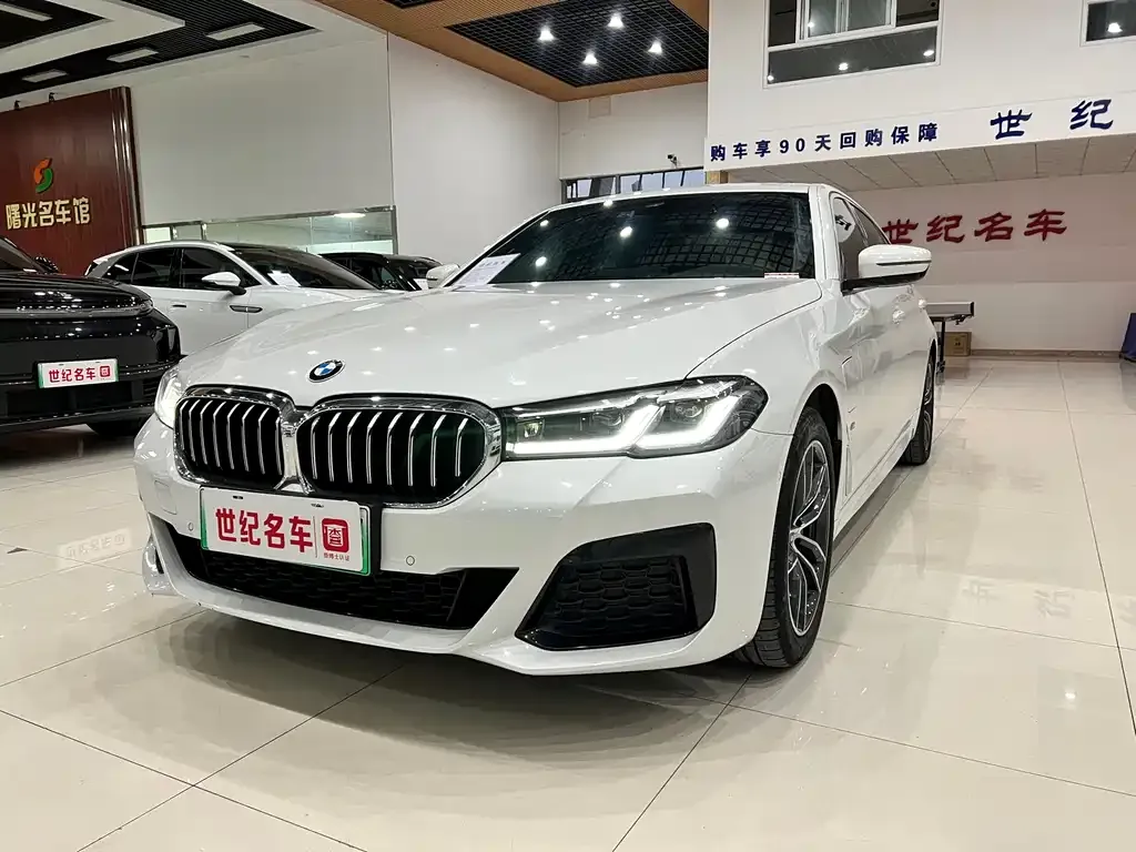 BMW 5 Series New Energy 2021 из CN, фото 1