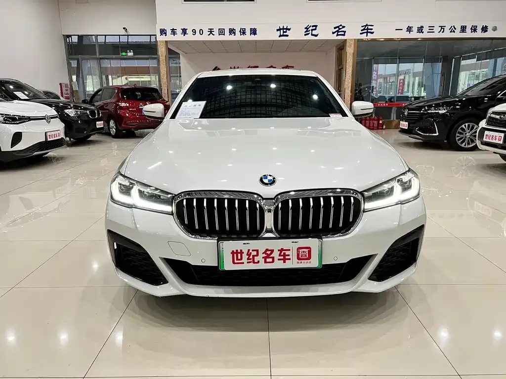 BMW 5 Series New Energy 2021 из CN, фото 4