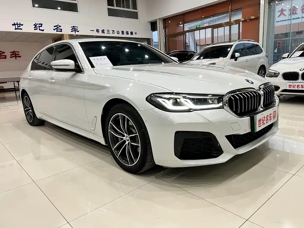 BMW 5 Series New Energy 2021 из CN, фото 5