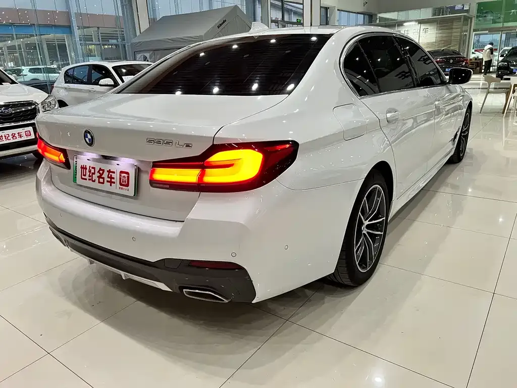 BMW 5 Series New Energy 2021 из CN, фото 2