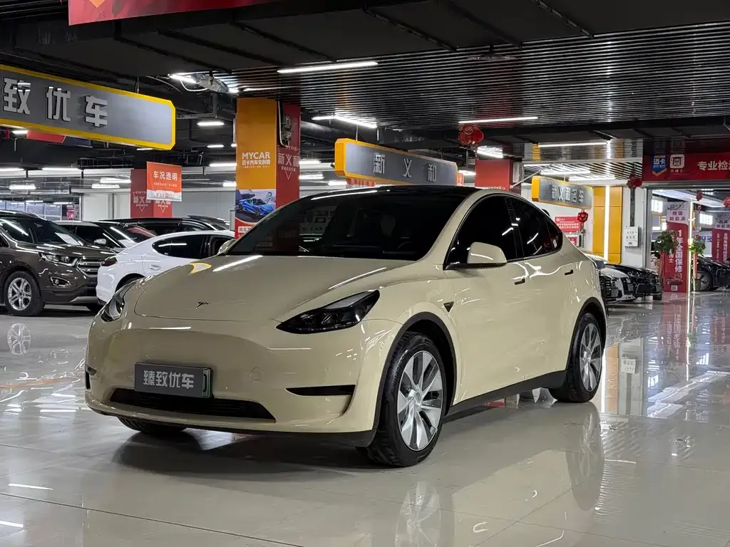 Tesla Model Y 2022 из CN, фото 1