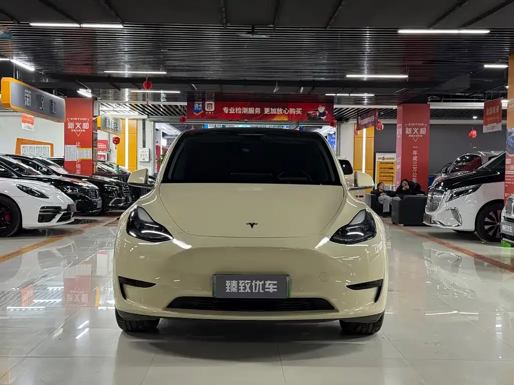 Tesla Model Y 2022 из CN, фото 6