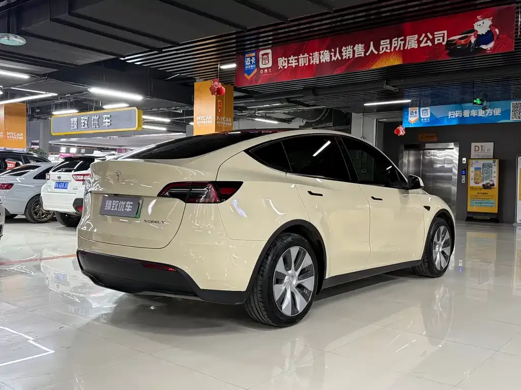 Tesla Model Y 2022 из CN, фото 8
