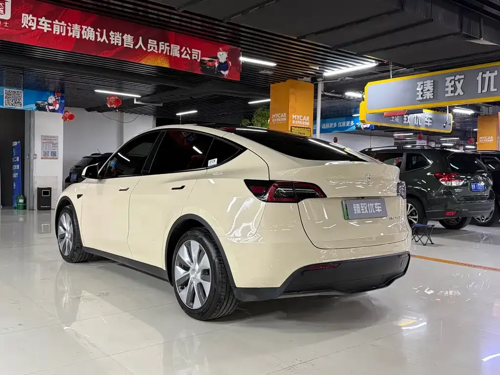 Tesla Model Y 2022 из CN, фото 4