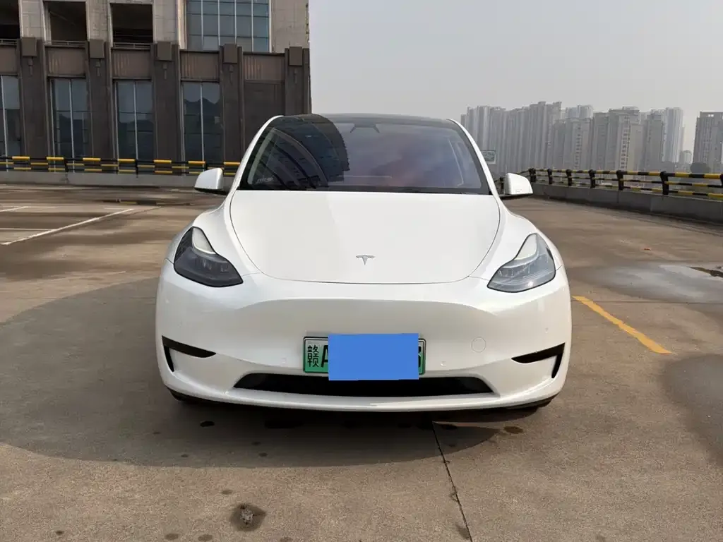 Tesla Model Y 2023 из CN, фото 9