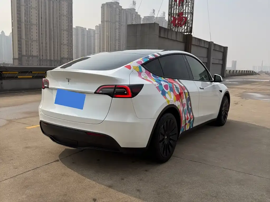 Tesla Model Y 2023 из CN, фото 8