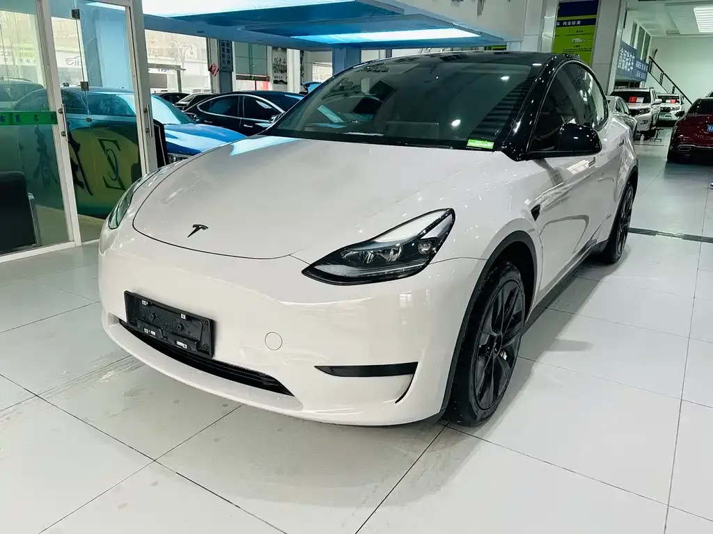 Tesla Model Y — фото 1