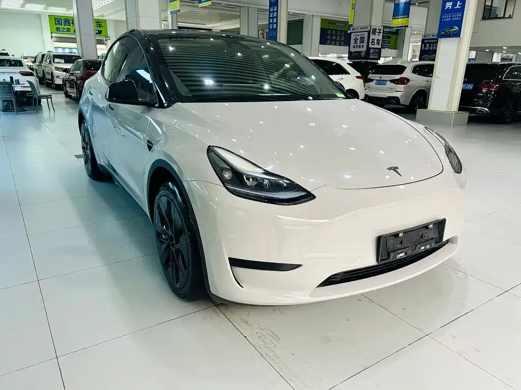 Tesla Model Y — фото 7