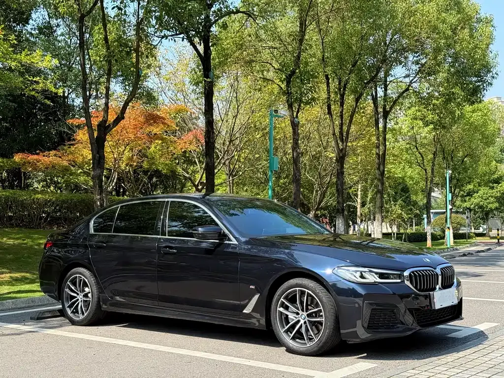 BMW 5 Series 2022 из CN, фото 8