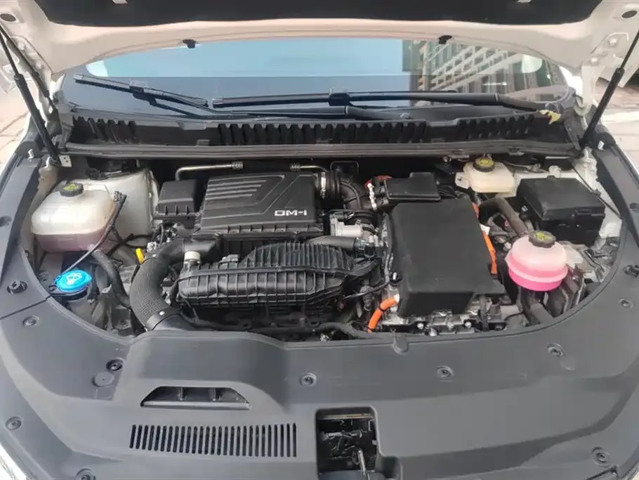 BYD MAX New Energy 2022 из CN, фото 9