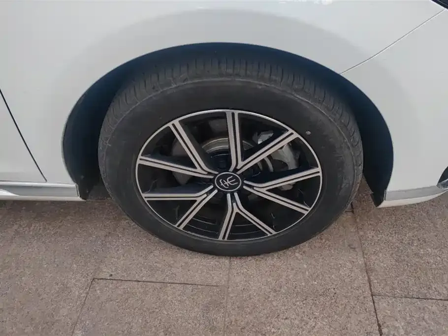 BYD MAX New Energy 2022 из CN, фото 4