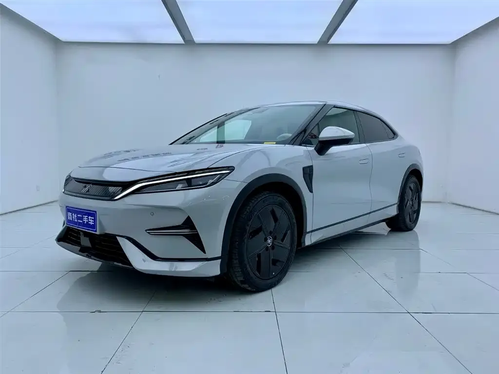 BYD L EV