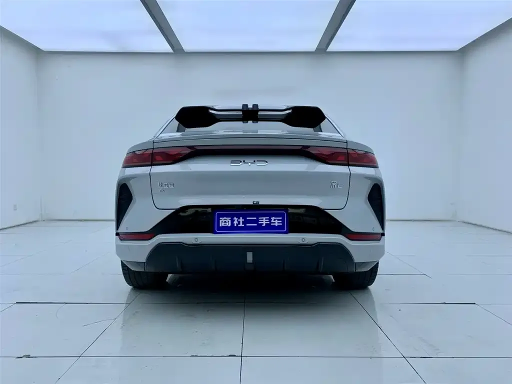 BYD L EV 2024 из CN, фото 7