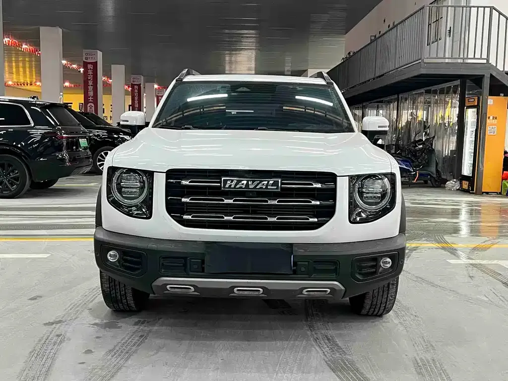 Haval Big Dog 2021 из CN, фото 9