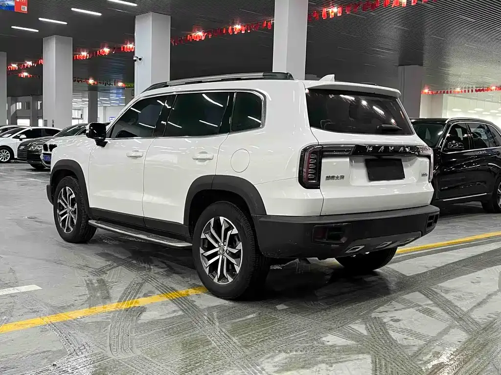 Haval Big Dog 2021 из CN, фото 8