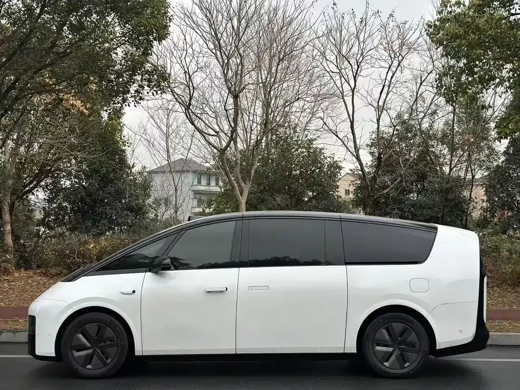 Li Auto MEGA 2024 из CN, фото 7