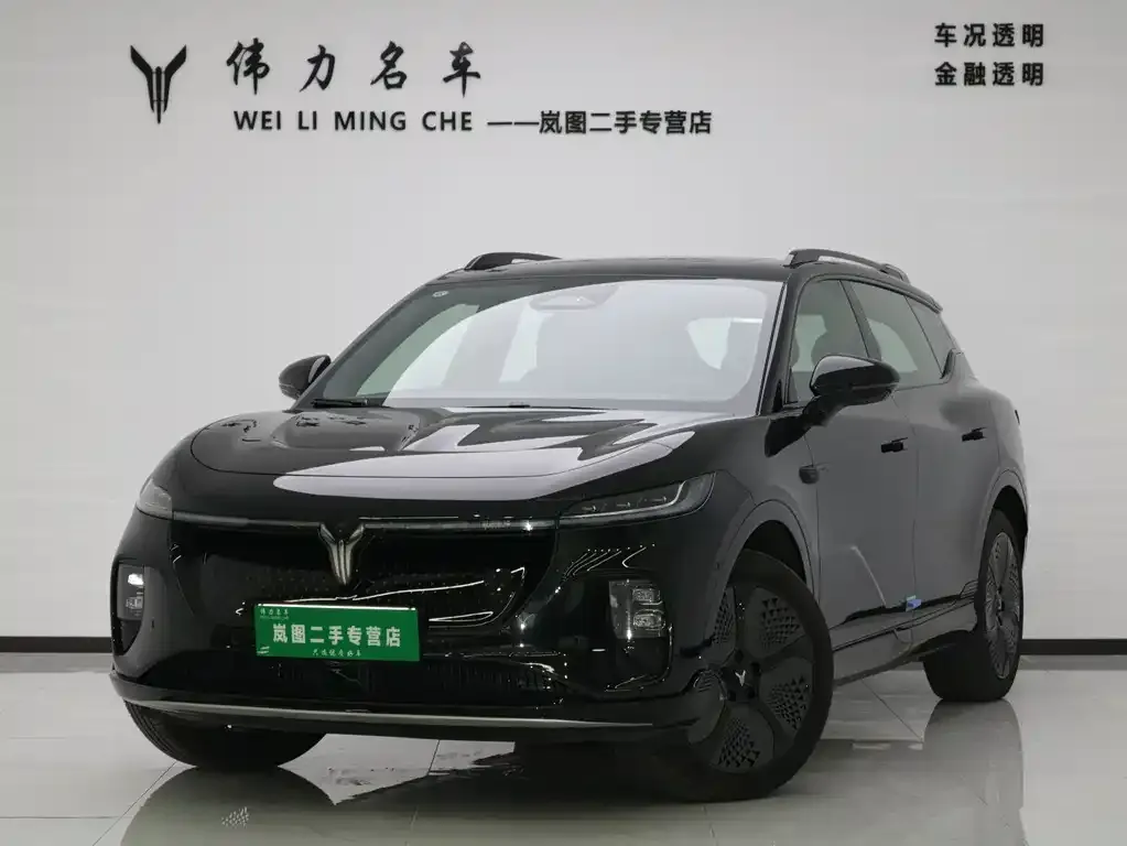 VOYAH Zhiyin 2024 из CN, фото 1