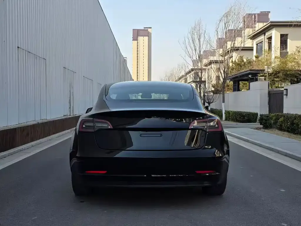 Tesla Model 3 2023 из CN, фото 2