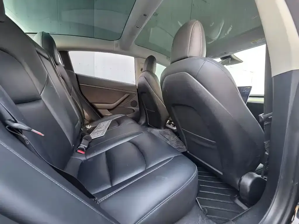 Tesla Model 3 2023 из CN, фото 3
