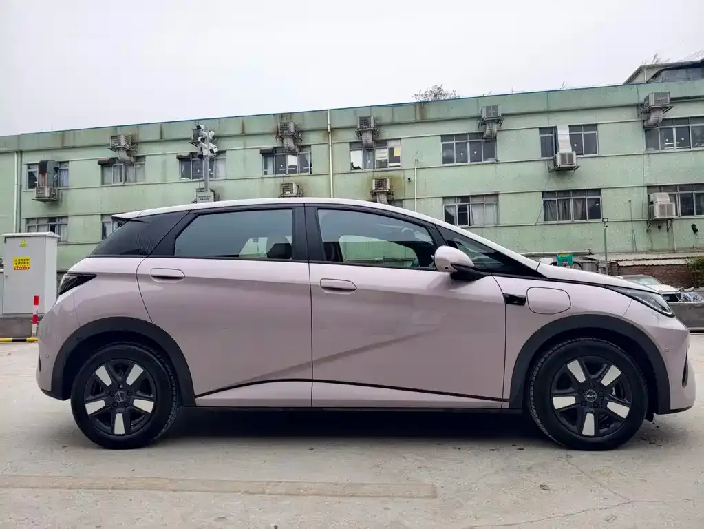 BYD Dolphin 2025 из CN, фото 3
