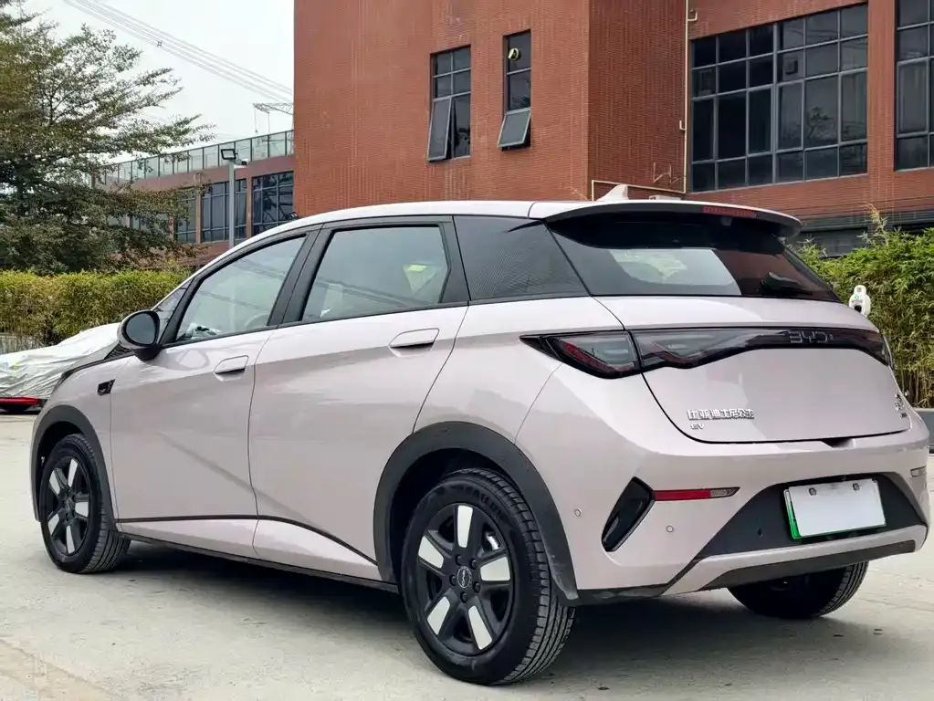 BYD Dolphin 2025 из CN, фото 6