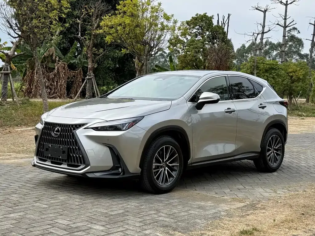 Lexus NX 2023 из CN, фото 1