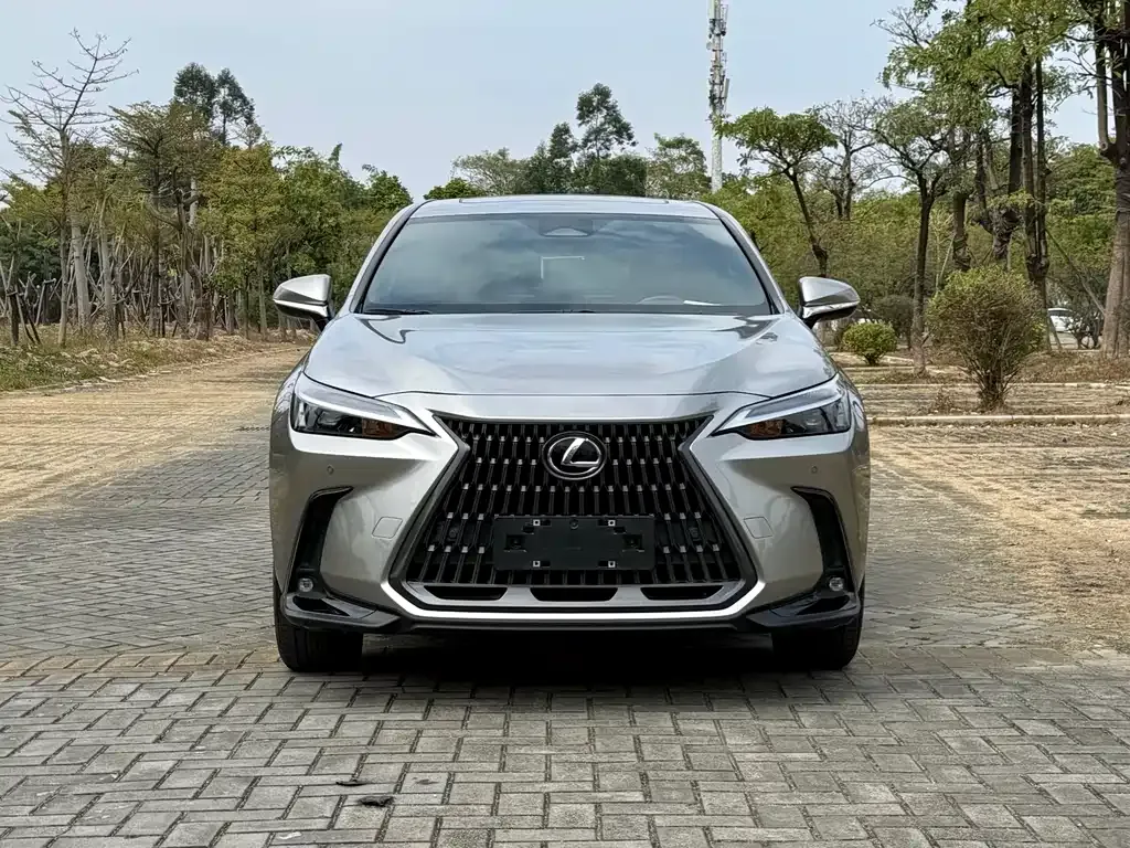 Lexus NX 2023 из CN, фото 5