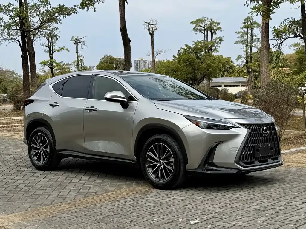Lexus NX 2023 из CN, фото 10